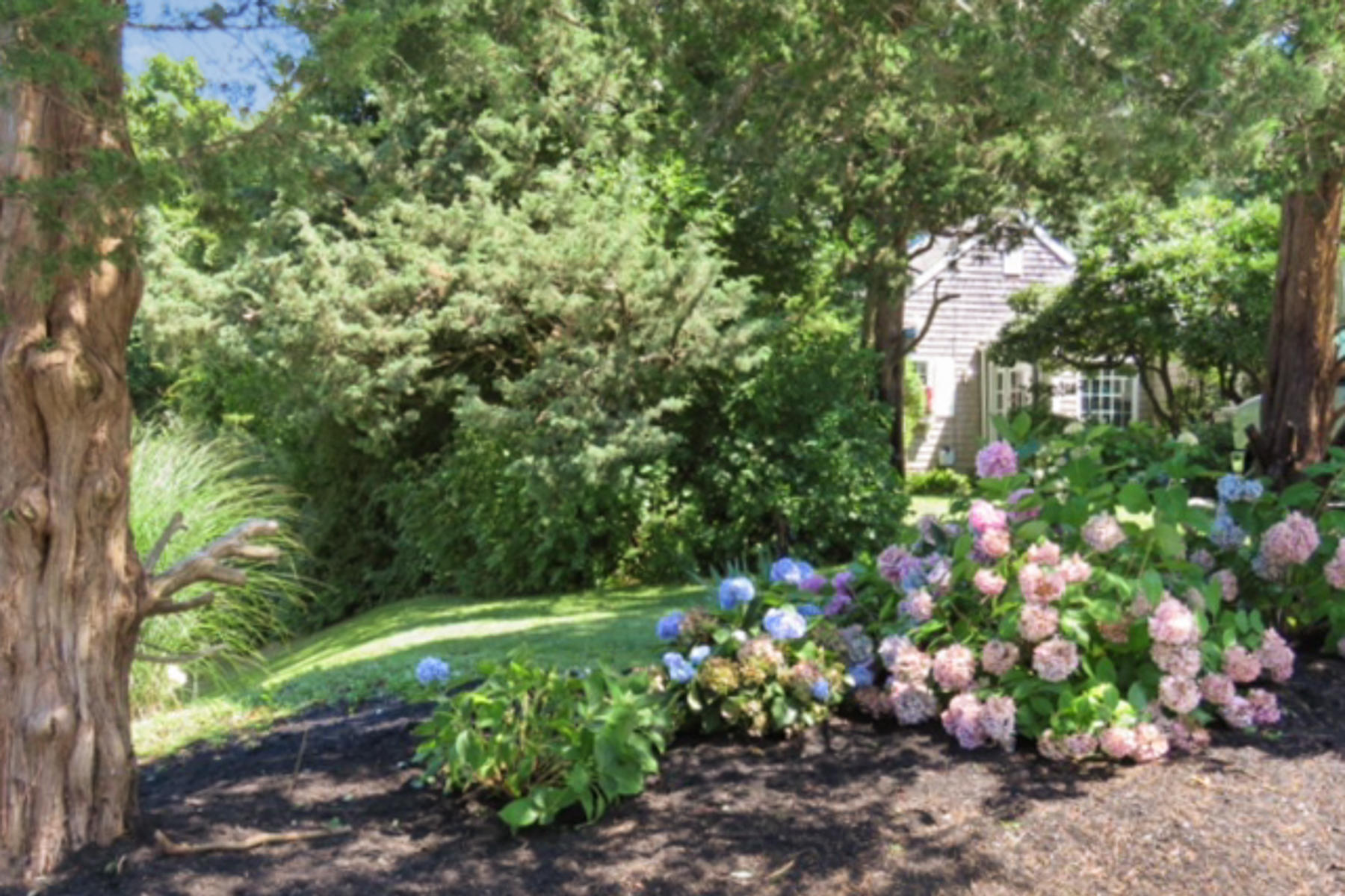 16 Sears Road East Dennis, MA 02660 - Photo 17 of 22 34166128_Unknown-Edit