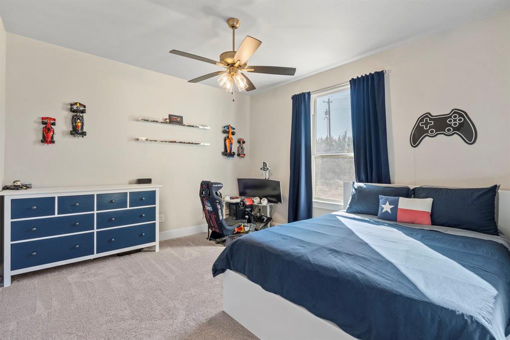 2110 Shady Grove Road Weatherford, TX 76088 - Photo 29 of 39
