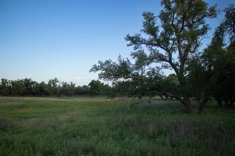 $394,900 | Lot #9 Slate Rock Road, Unit 9, Fredericksburg, TX 78624