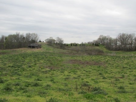 Fairview Church Road Smiths Grove, KY 42171 - Photo 7 of 34 Gallery Image 7