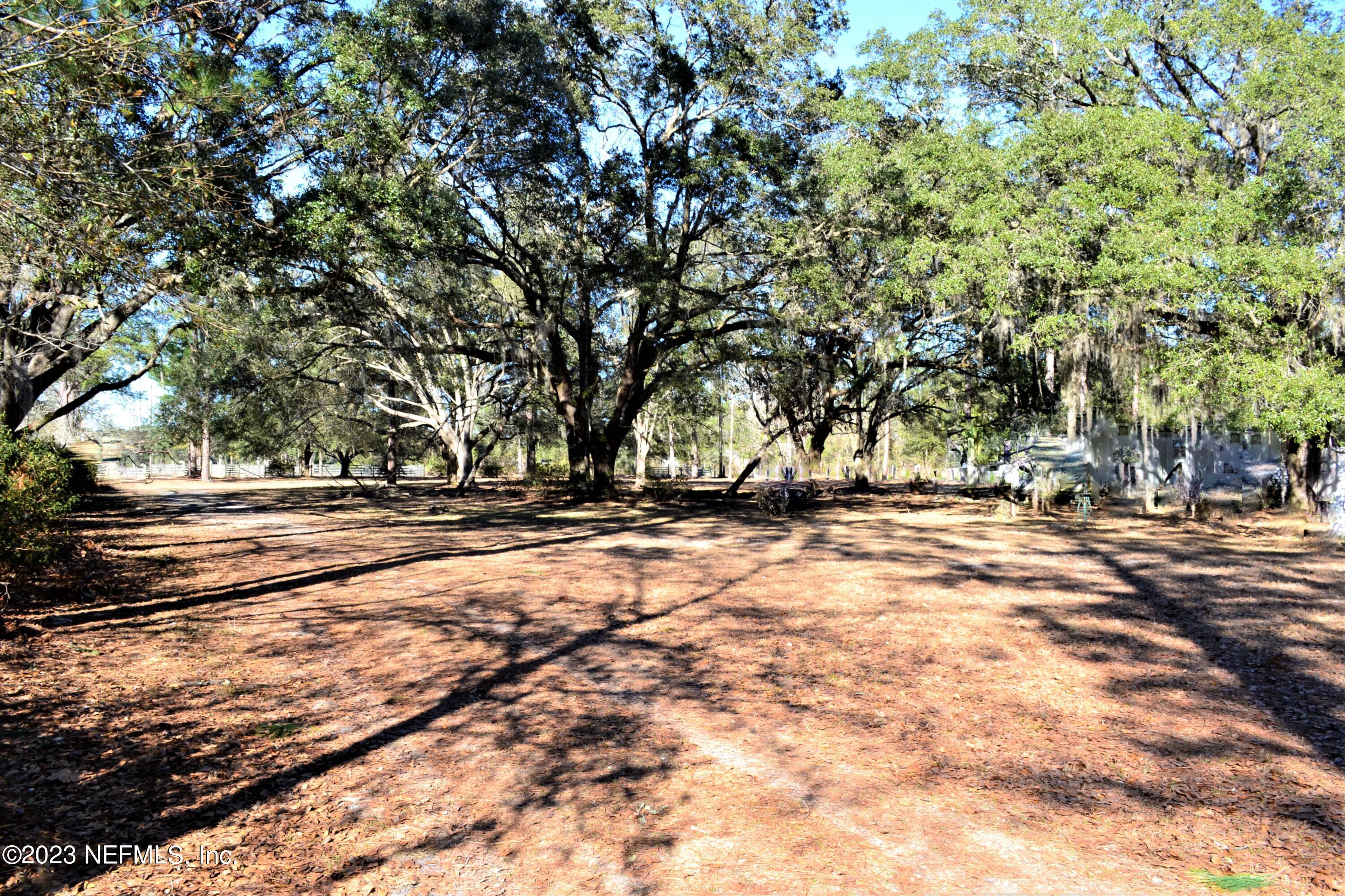 1529 Kinard Road Bryceville, FL 32009 - Photo 11 of 32 ...Backyard