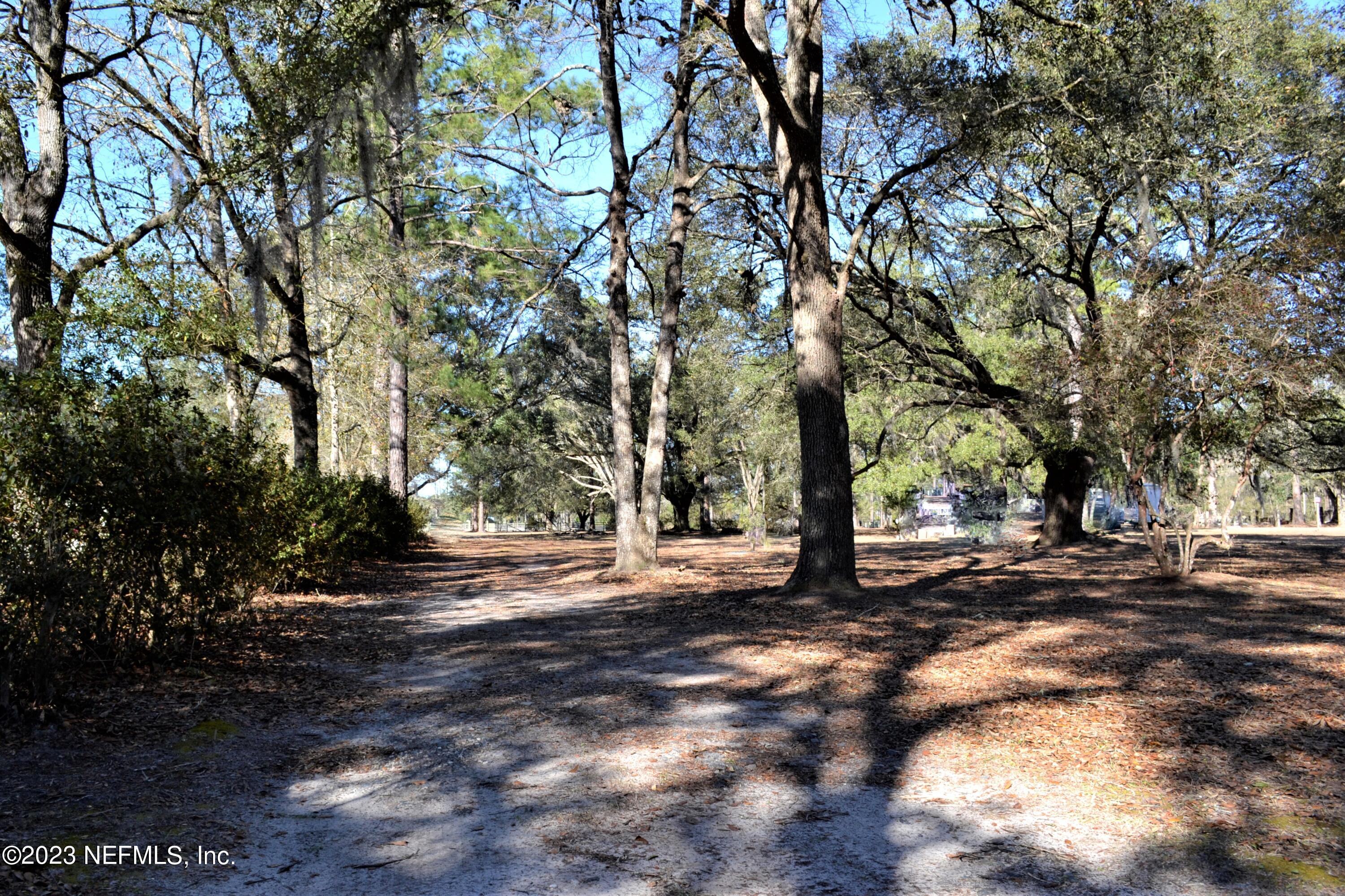 1529 Kinard Road Bryceville, FL 32009 - Photo 19 of 32 Driveway Access