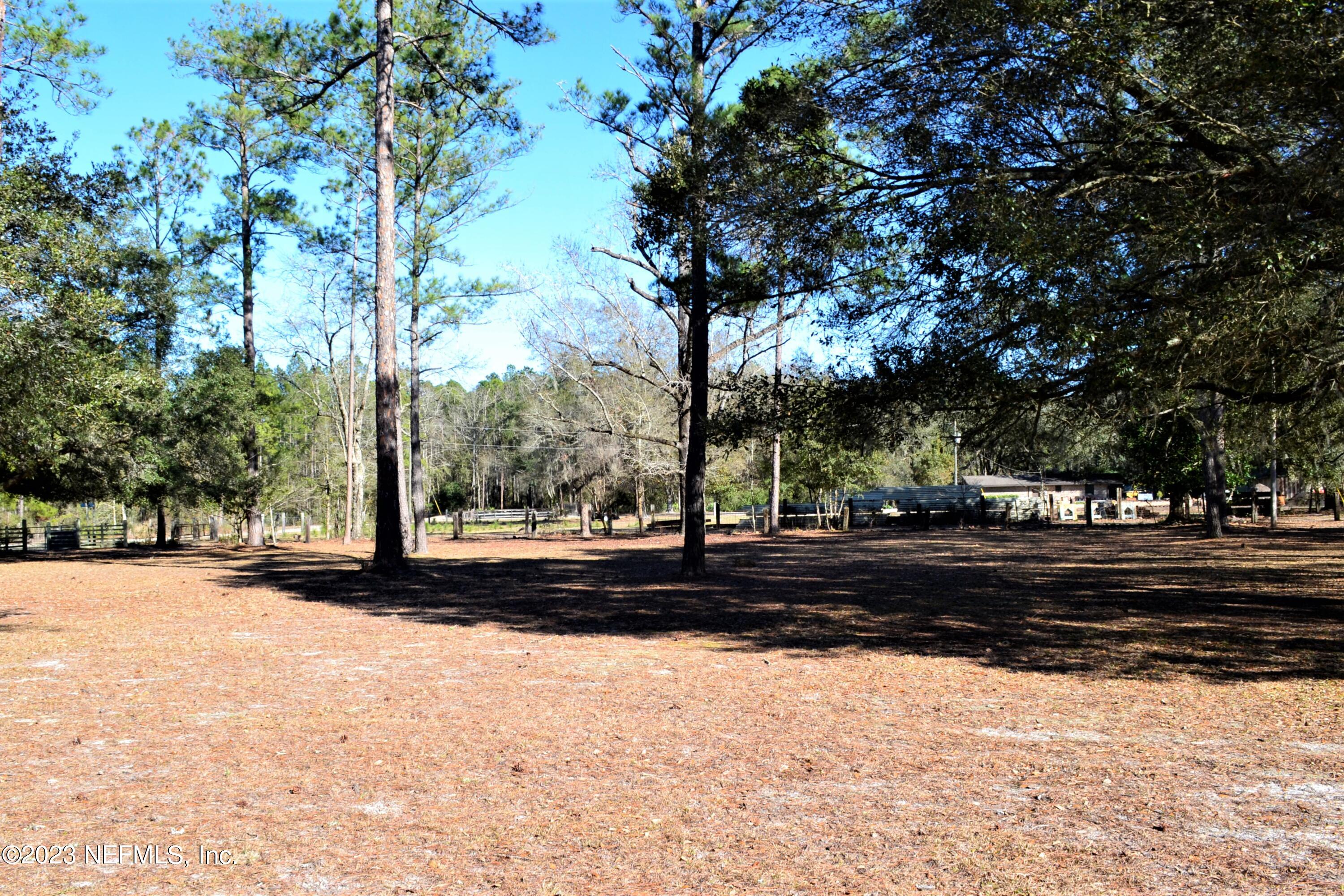 1529 Kinard Road Bryceville, FL 32009 - Photo 9 of 32 ...Yard