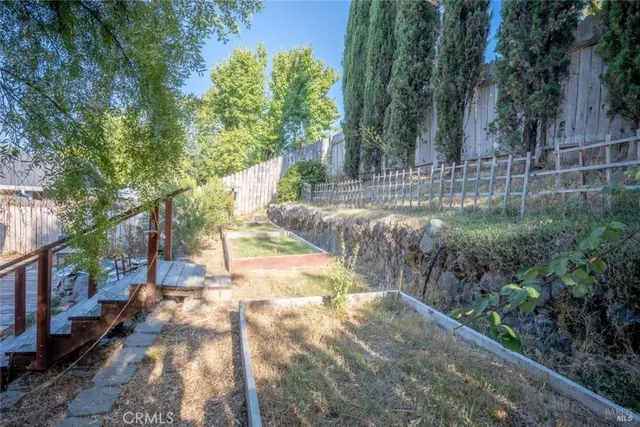 a view of a yard with plants and trees