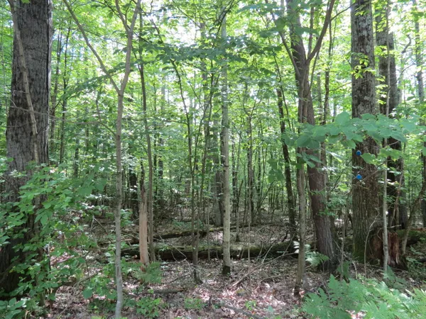$29,500 | 23 Tannenbaum Lane, Jay, NY 12941