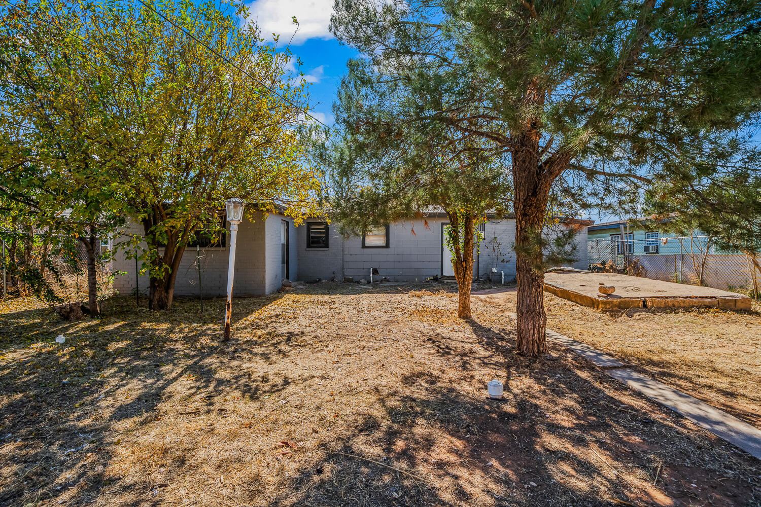 3409 East 17th Street Lubbock, TX 79403 - Photo 23 of 24 a tree in front of a white house