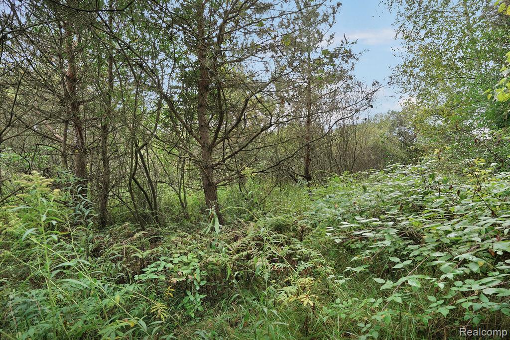 3921 Kile Road Vassar, MI 48768 - Photo 18 of 21 Gallery Image 18