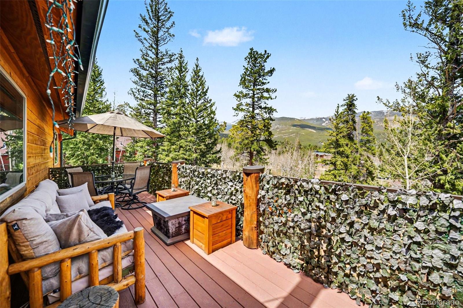 28 Juniper Way Bailey, CO 80421 - Photo 19 of 30