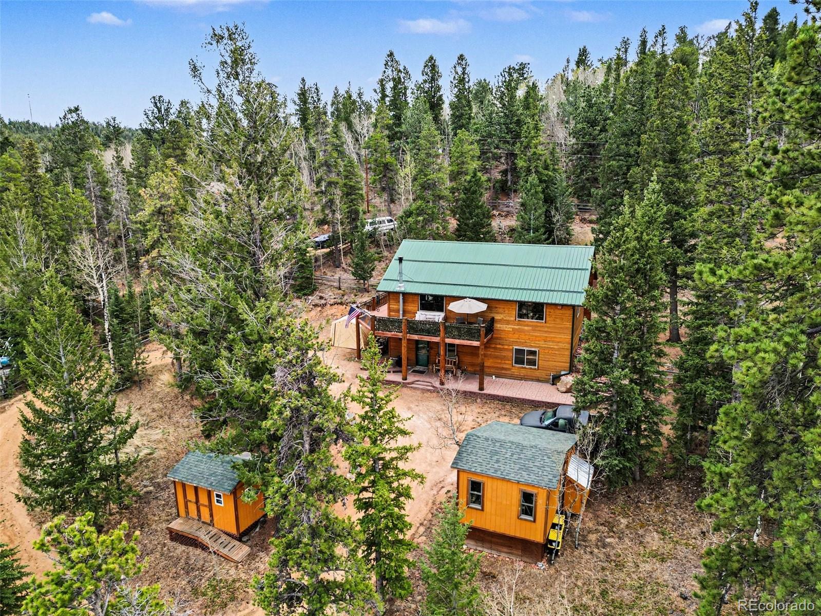 28 Juniper Way Bailey, CO 80421 - Photo 24 of 30
