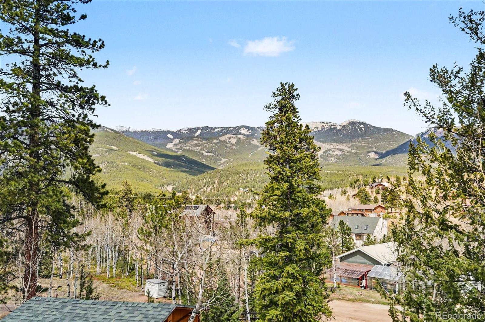 28 Juniper Way Bailey, CO 80421 - Photo 25 of 30