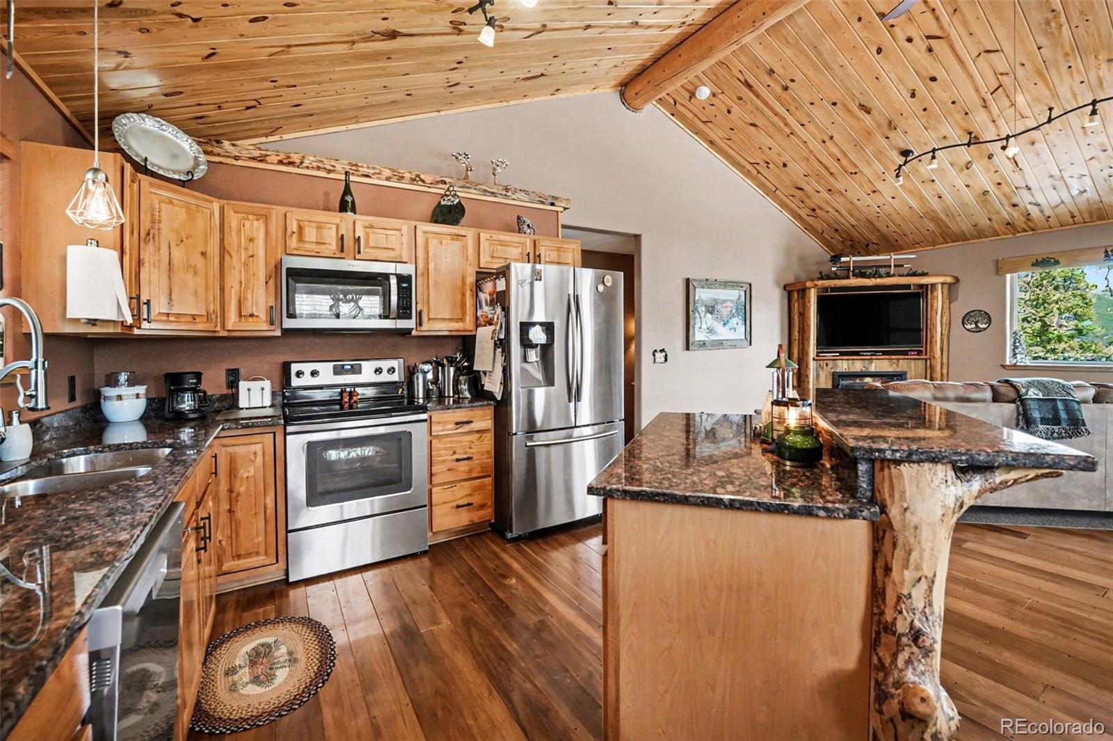 28 Juniper Way Bailey, CO 80421 - Photo 3 of 30