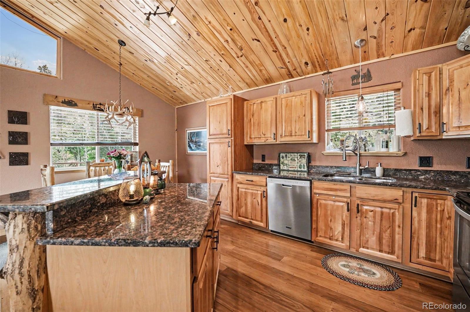 28 Juniper Way Bailey, CO 80421 - Photo 4 of 30