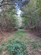 0 Friendship Road Tallassee, AL 36078 - Photo 7 of 11 Gallery Image 7
