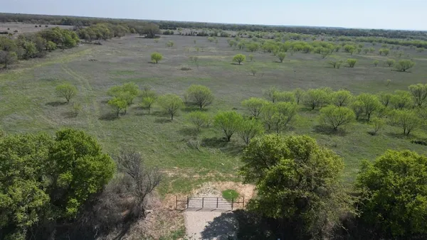 a view of a field with lots of trees