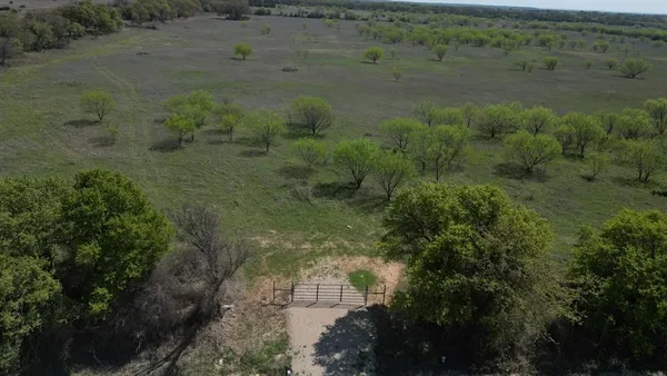 a view of a yard with trees all around