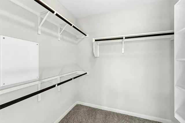 a view of walk in closet with rug