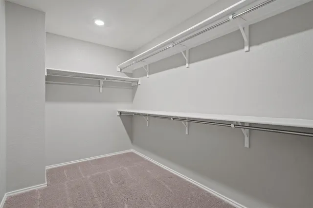 a bathroom with a shower and a toilet