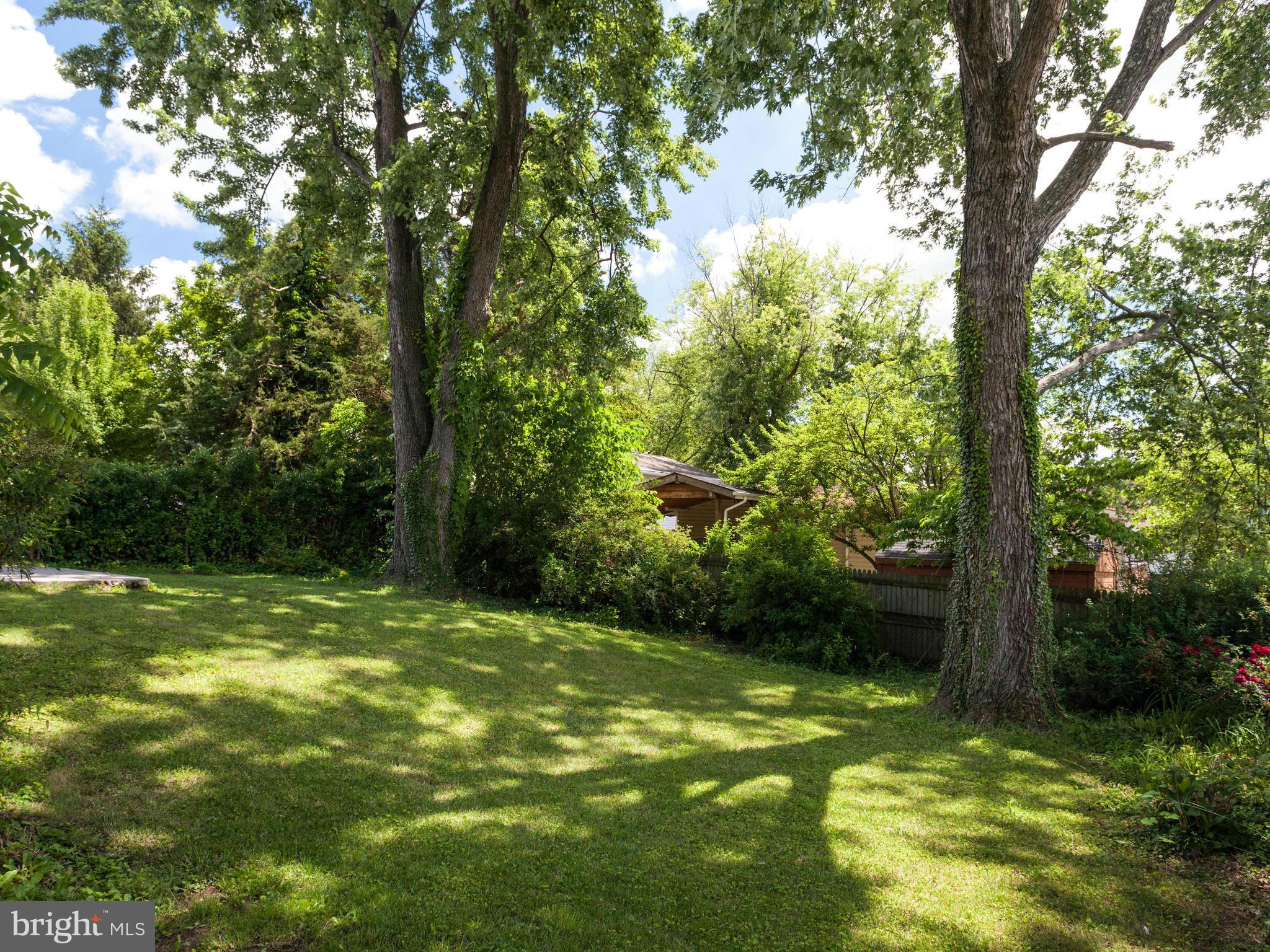 3908 Elby Street Silver Spring, MD 20906 - Photo 2 of 24 a view of a trees with a yard