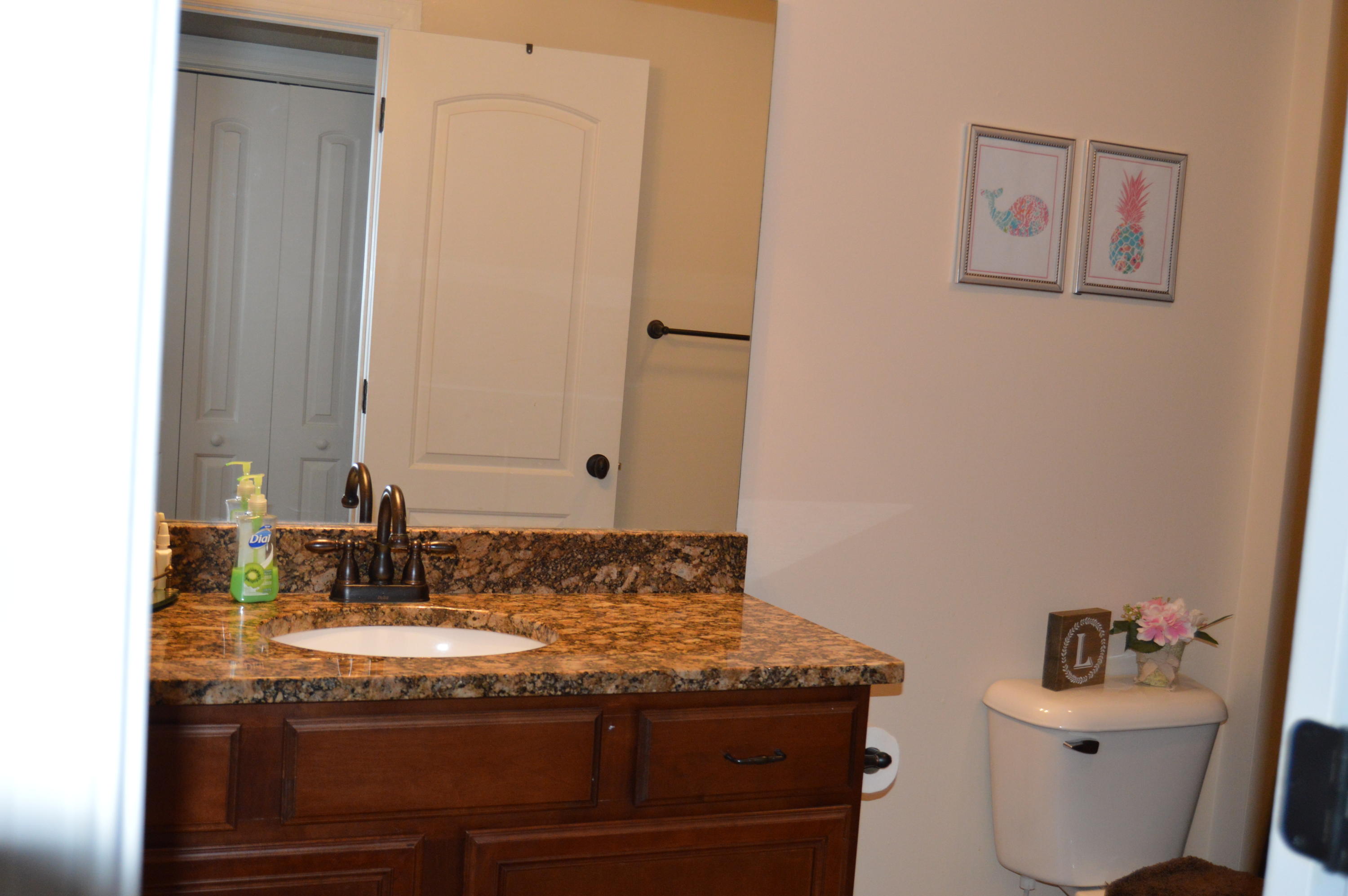 1508 Rippling Waters Circle Sevierville, TN 37876 - Photo 28 of 36 DSC_0033