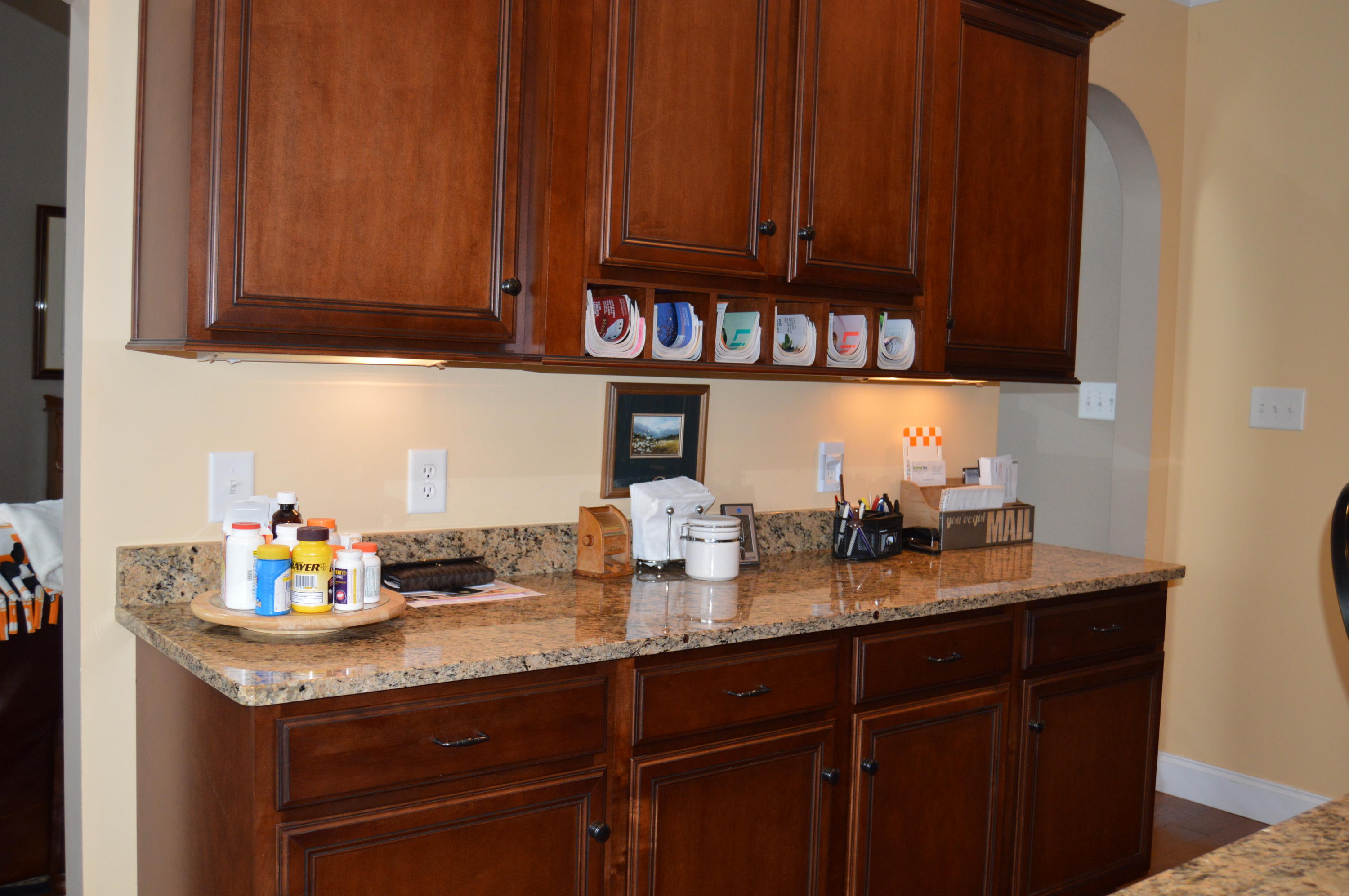 1508 Rippling Waters Circle Sevierville, TN 37876 - Photo 7 of 36 DSC_0014