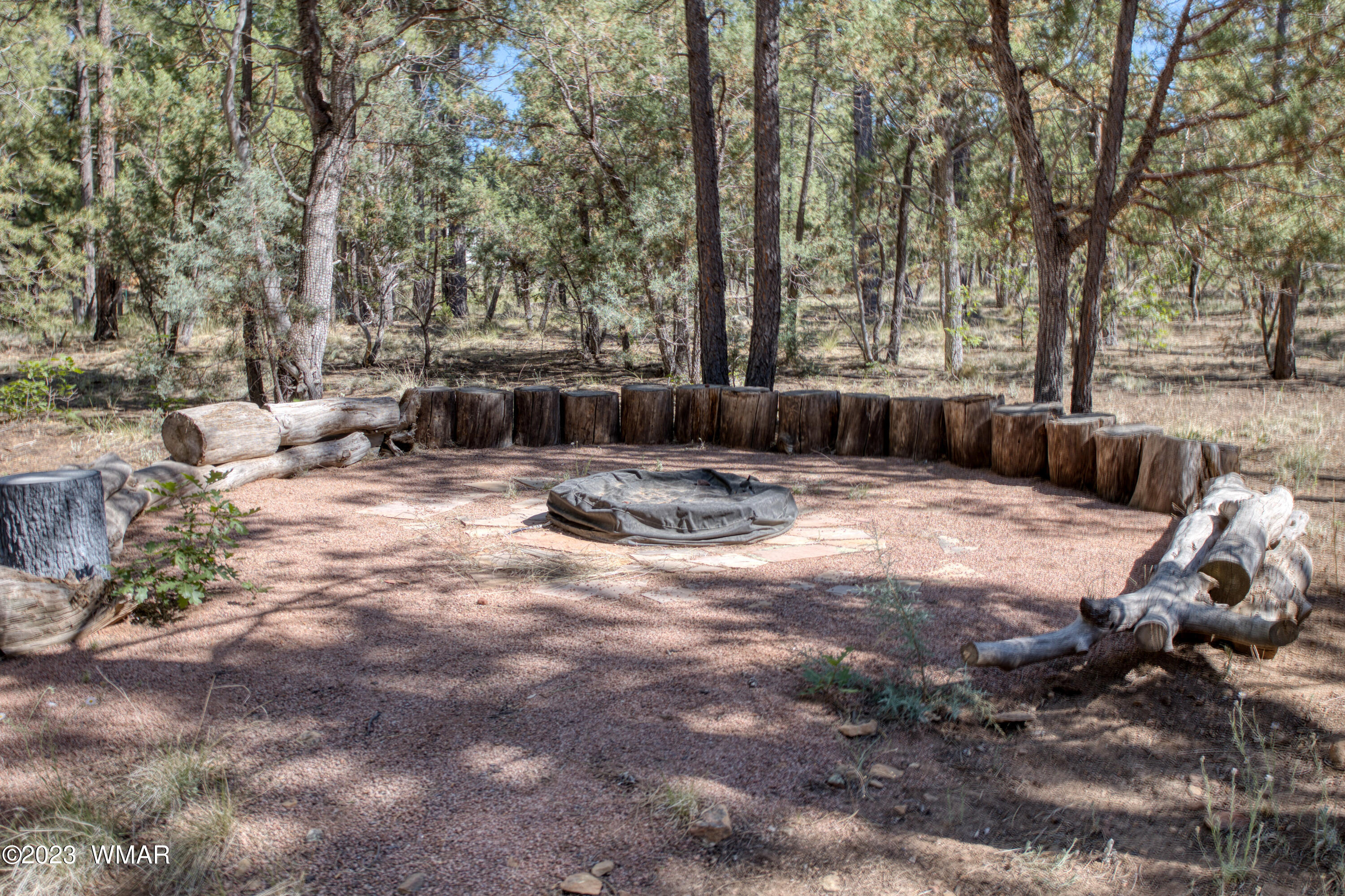 2831 Cattle Trail Road Overgaard, AZ 85933 - Photo 20 of 24