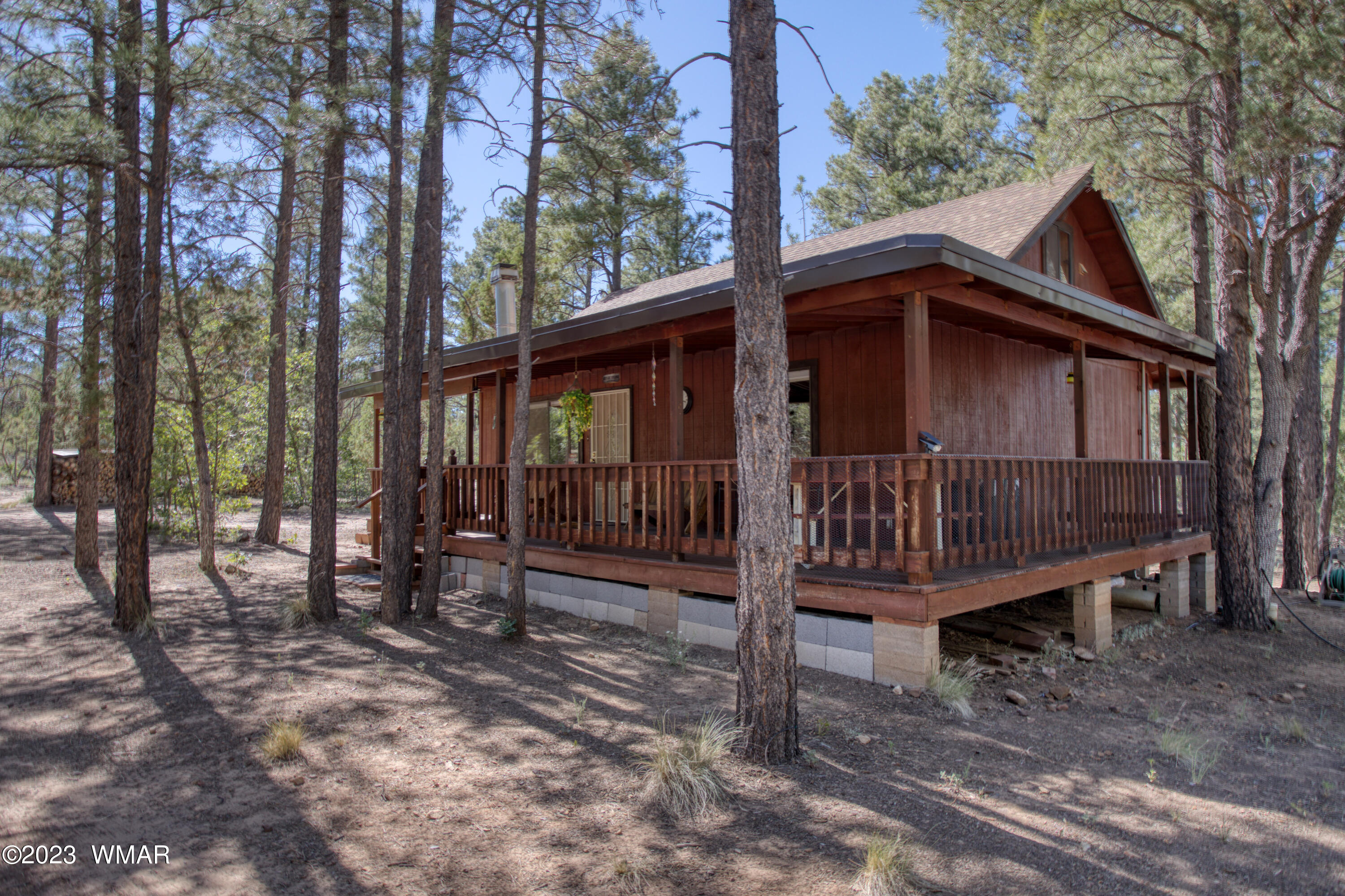 2831 Cattle Trail Road Overgaard, AZ 85933 - Photo 2 of 24