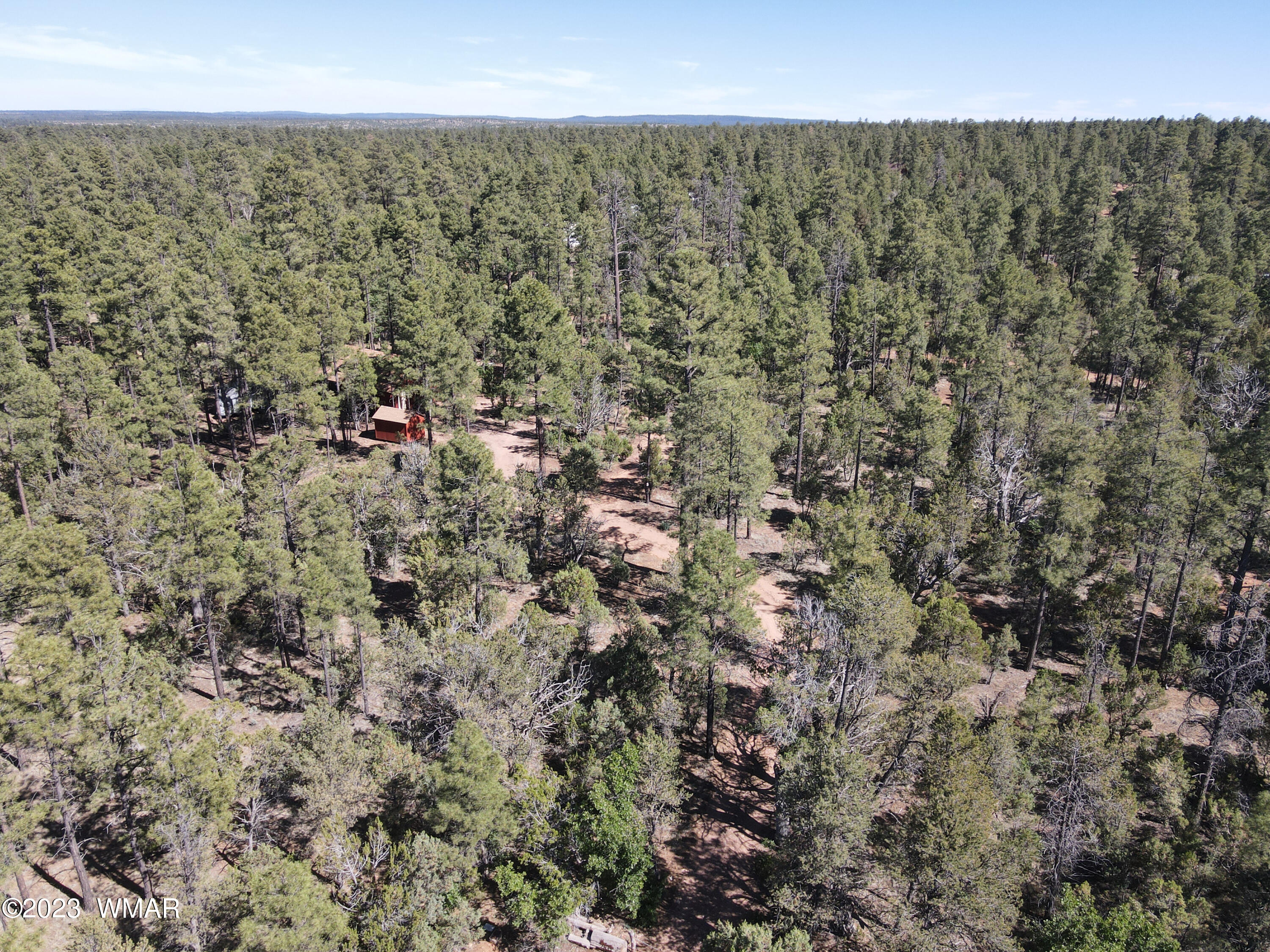 2831 Cattle Trail Road Overgaard, AZ 85933 - Photo 21 of 24