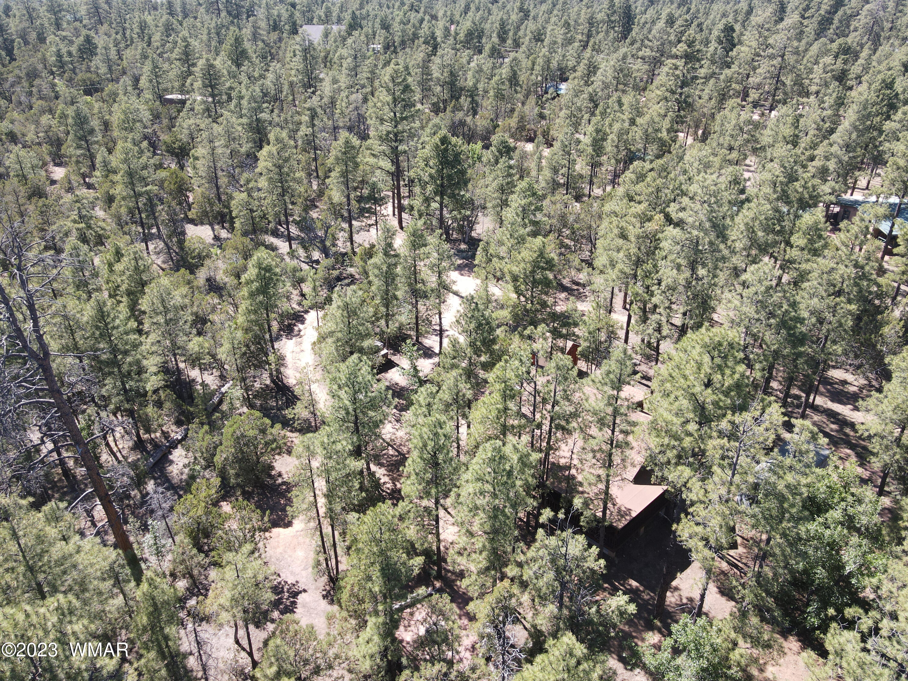 2831 Cattle Trail Road Overgaard, AZ 85933 - Photo 22 of 24