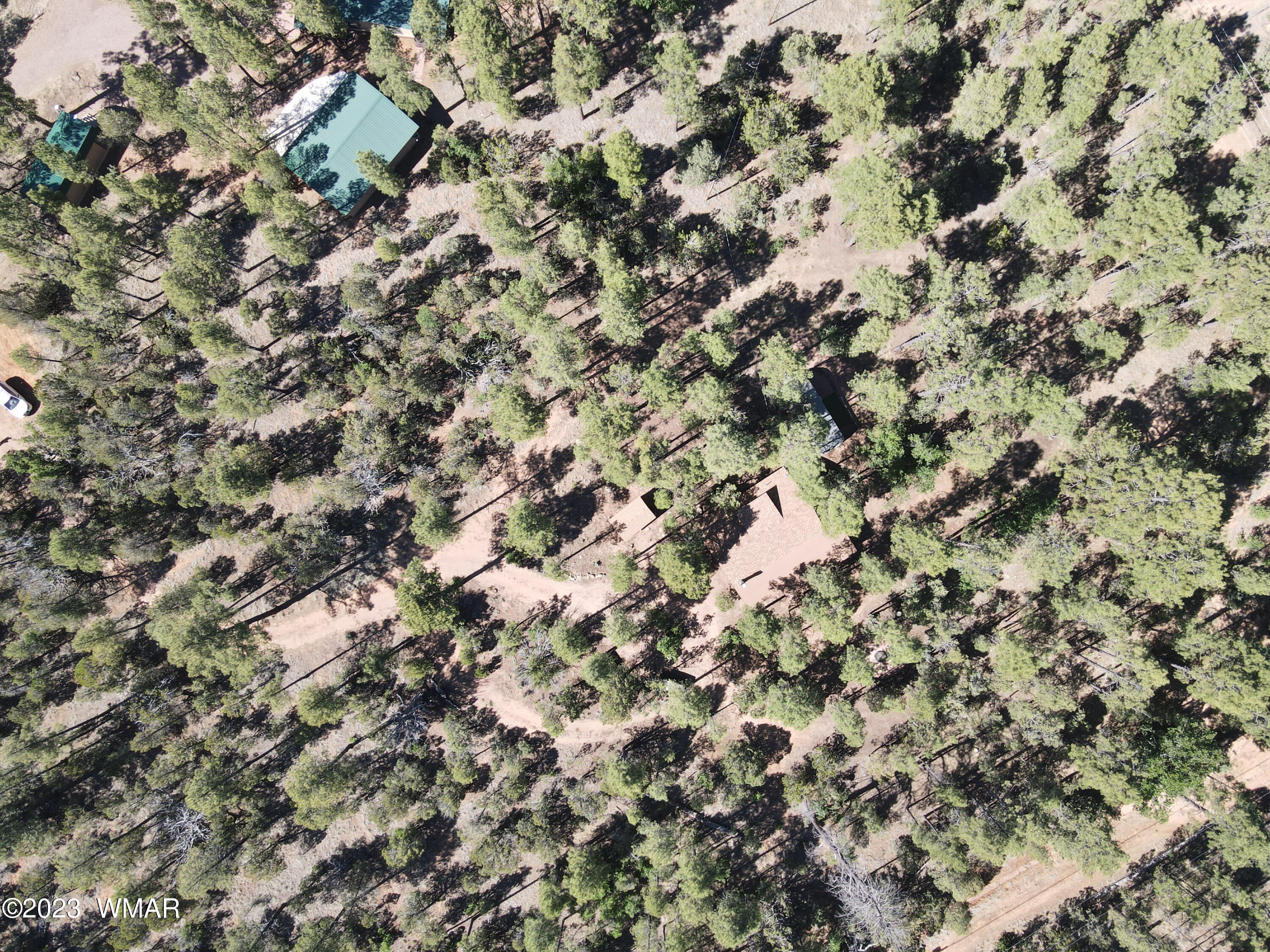 2831 Cattle Trail Road Overgaard, AZ 85933 - Photo 23 of 24
