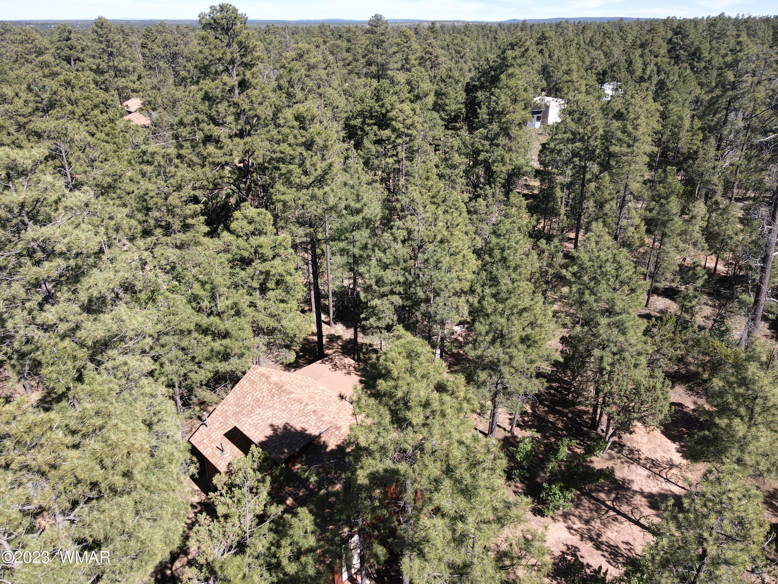 2831 Cattle Trail Road Overgaard, AZ 85933 - Photo 24 of 24