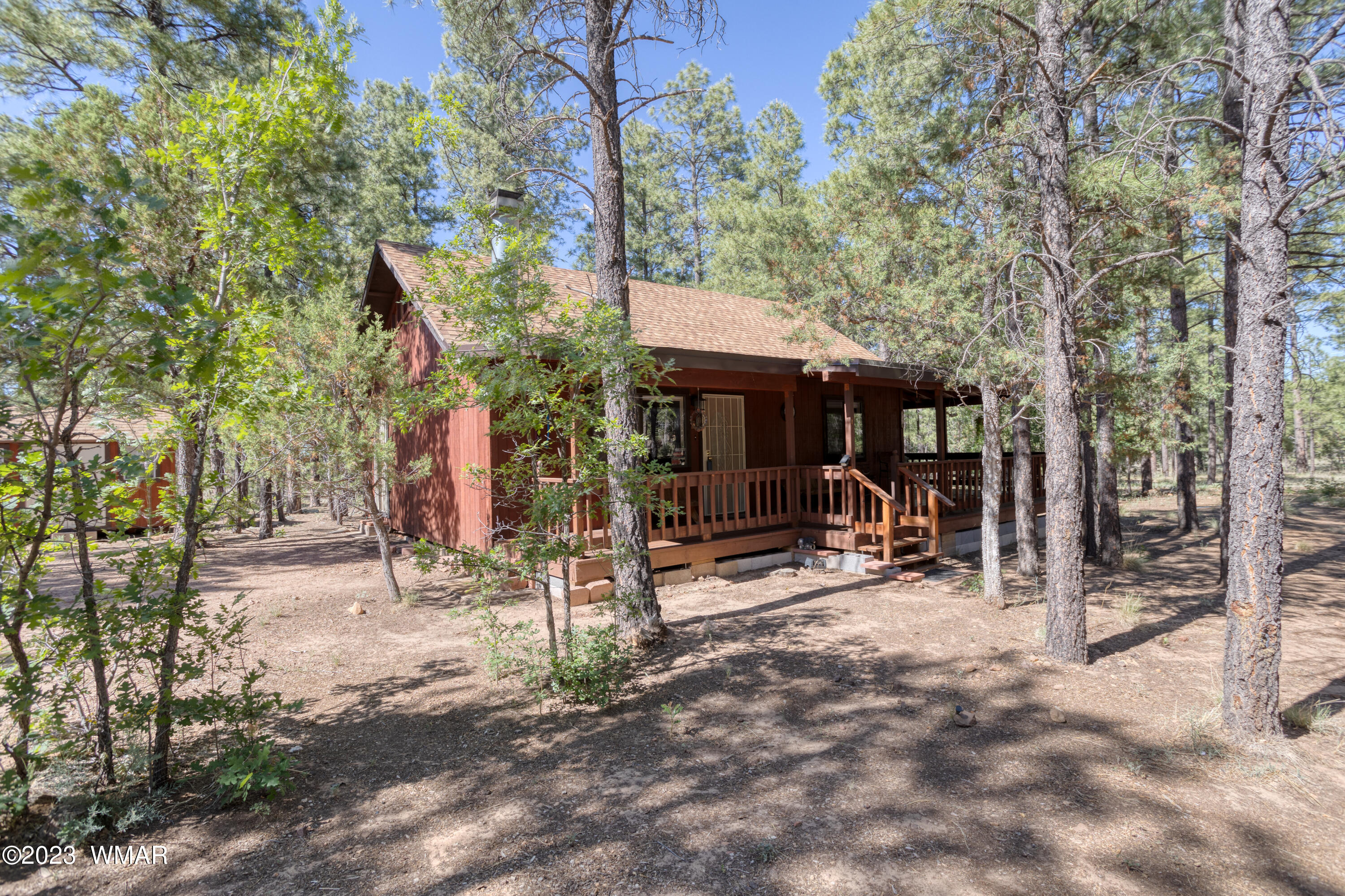 2831 Cattle Trail Road Overgaard, AZ 85933 - Photo 3 of 24