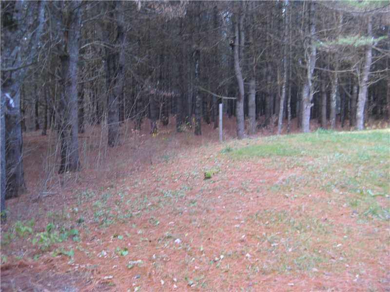 237 West Etna Road Etna, ME 04434 - Photo 10 of 11 Yard/Garden.