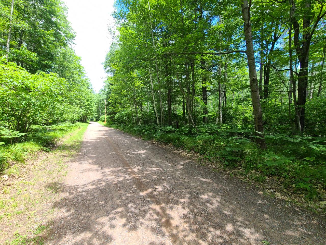 Lot 6 Sunrise Road Woodruff, WI 54568 - Photo 3 of 8 Gallery Image 3