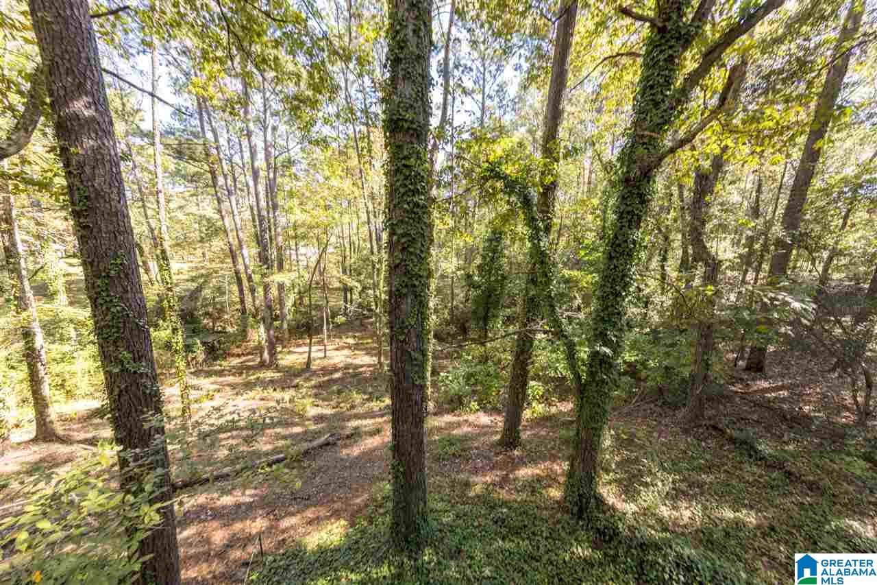 1835 Sunset Lane Helena, AL 35080 - Photo 28 of 29