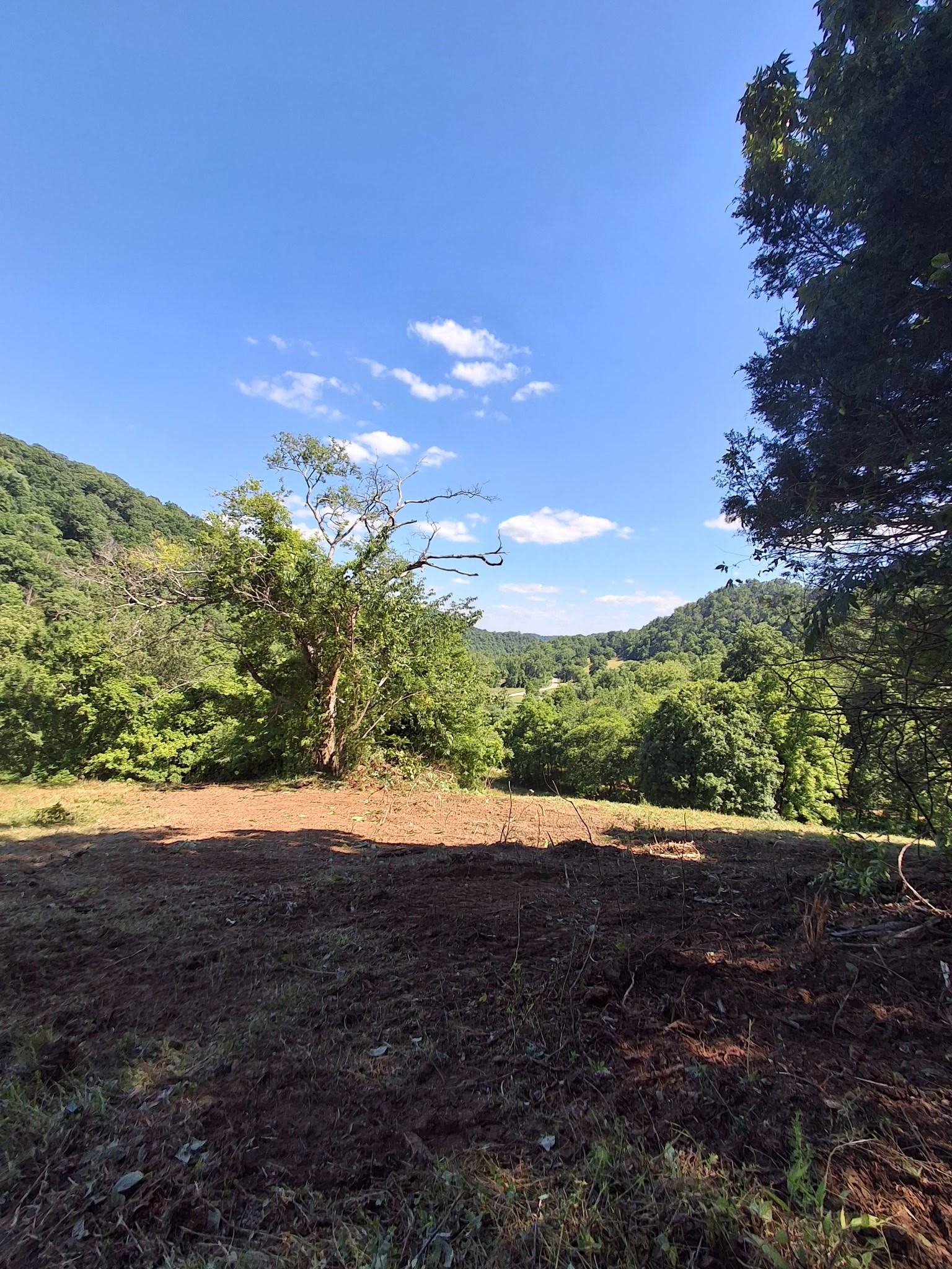 0 Little Creek Road Pleasant Shade, TN 37145 - Photo 6 of 7