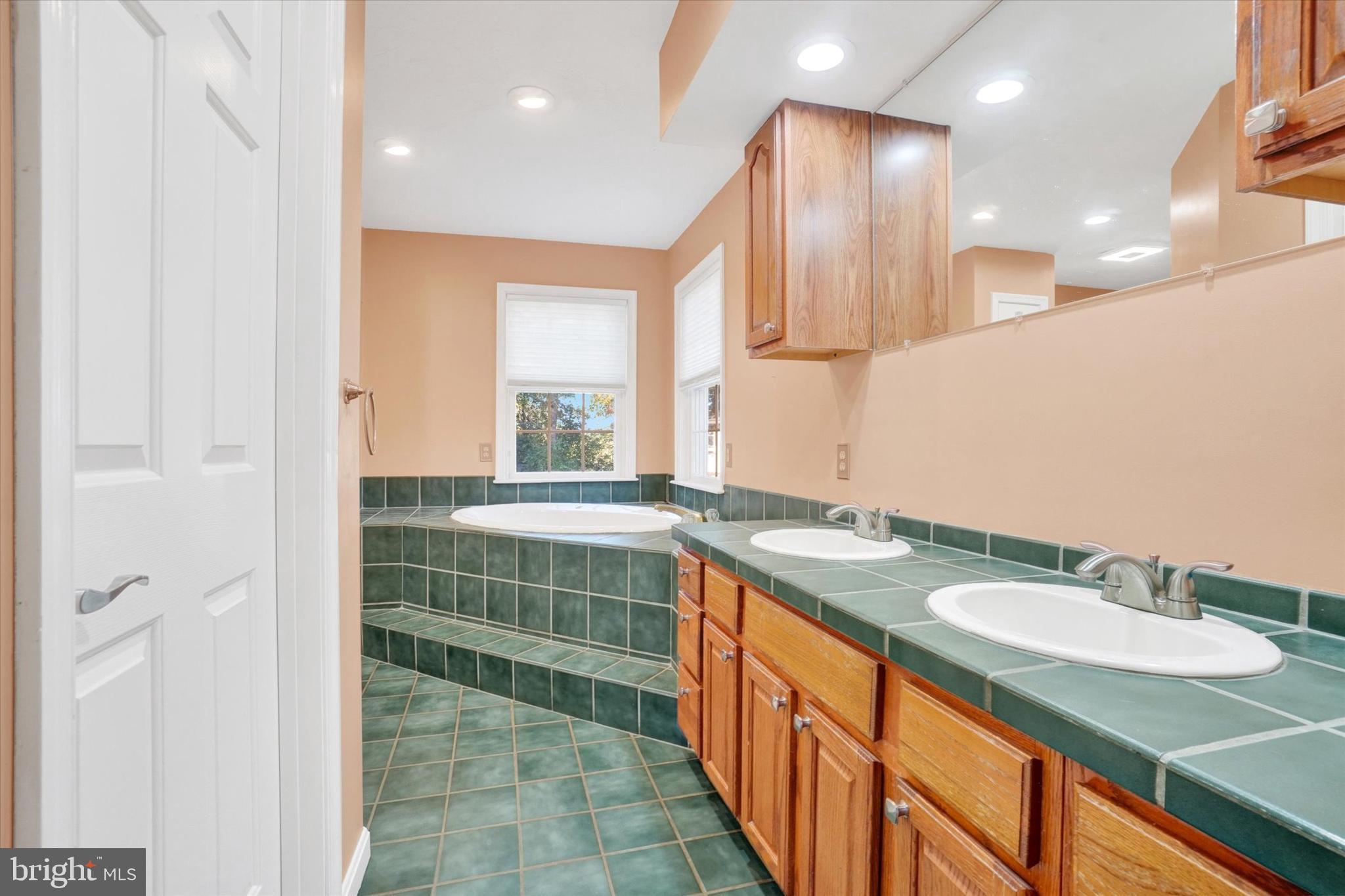 1240 Green Ridge Road East Berlin, PA 17316 - Photo 25 of 49 Ensuite bath and walk-in closet...