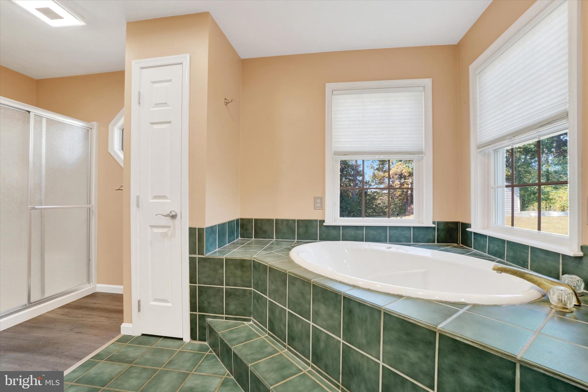 1240 Green Ridge Road East Berlin, PA 17316 - Photo 26 of 49 jetted spa tub & separate shower.
