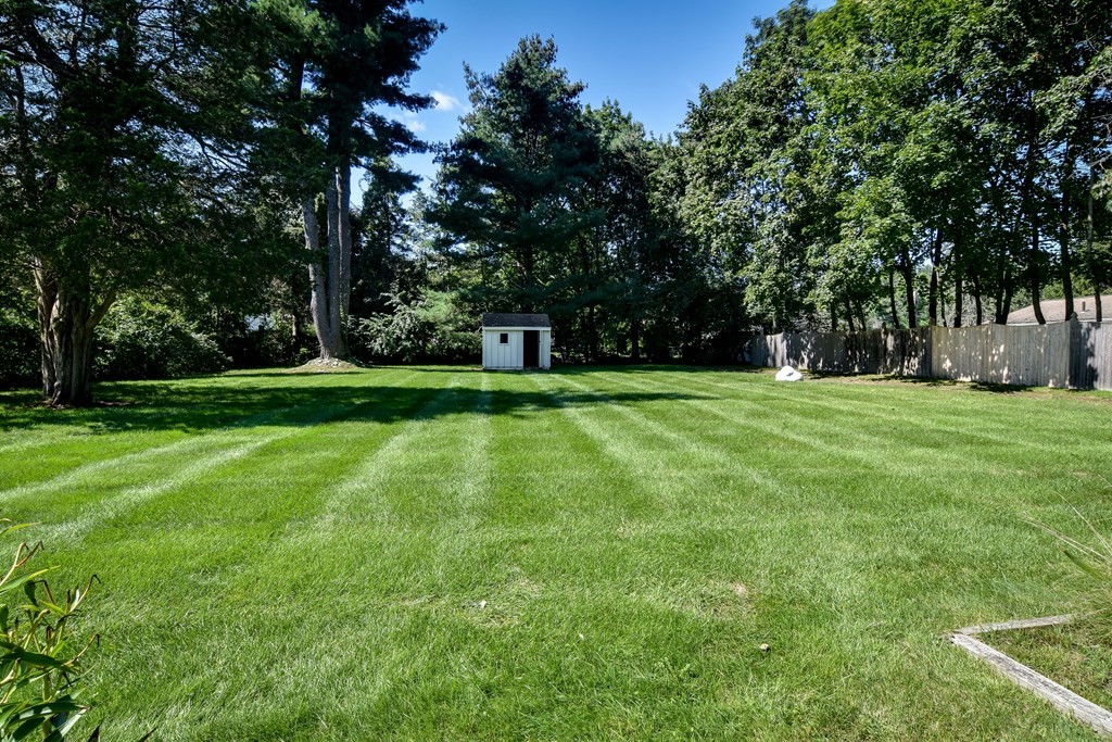 22 Francine Road Framingham, MA 01701 - Photo 23 of 30 a view of a grassy field with trees