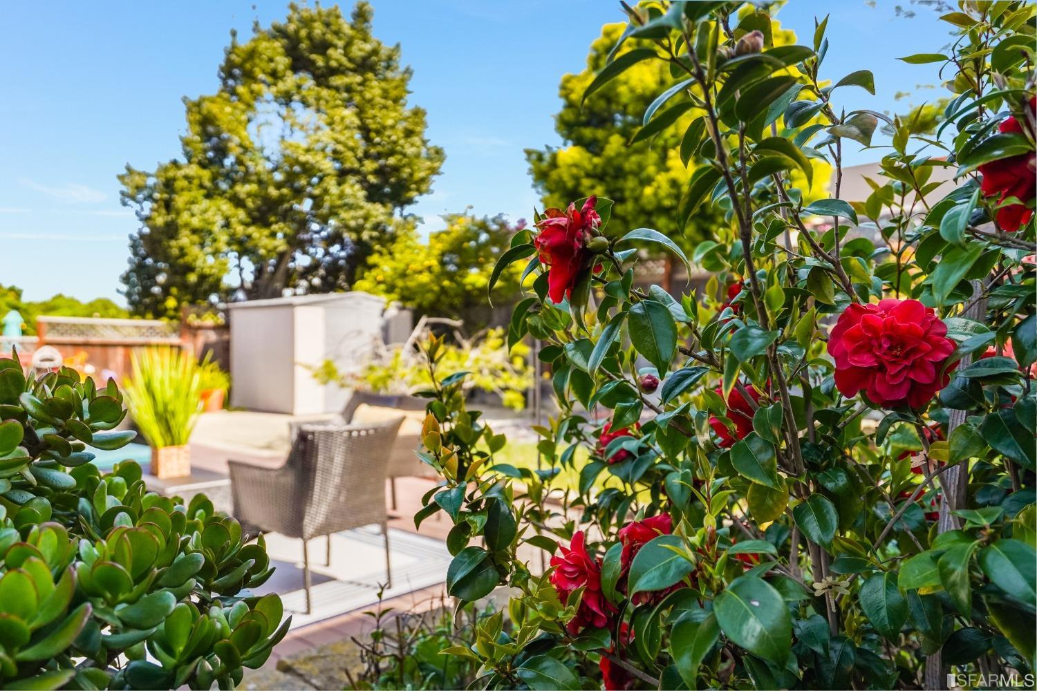 474 Oak Avenue San Bruno, CA 94066 - Photo 36 of 51 a backyard of a house with table and chairs plants
