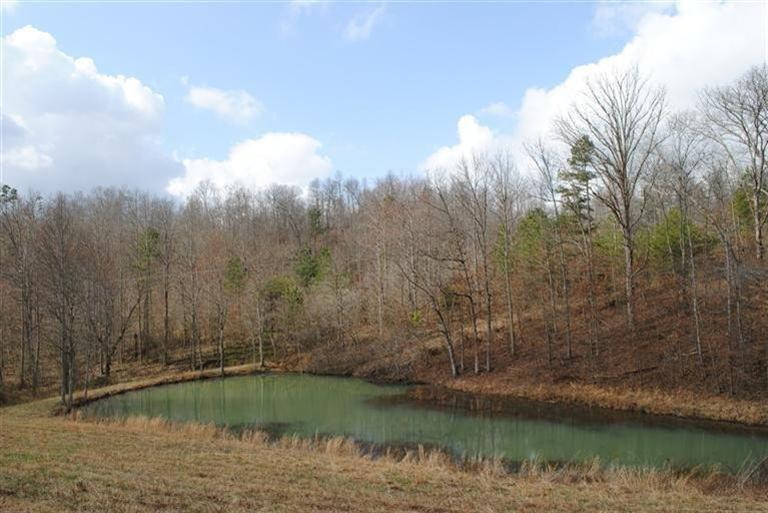 110 Kelly Branch Road London, KY 40741 - Photo 9 of 39 Photo 10