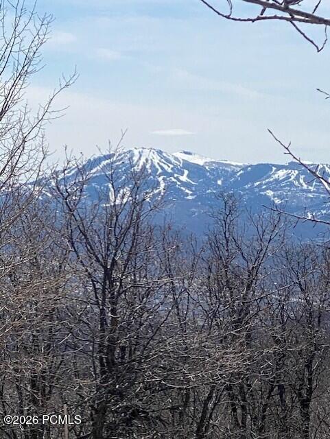 2604 South Forest Meadow Road Coalville, UT 84017 - Photo 13 of 28