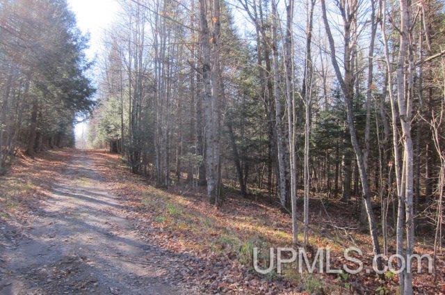Tbd Byzcek Road Iron River, MI 49935 - Photo 6 of 11