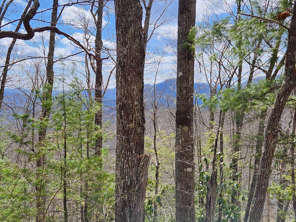 0 Camp Branch Road Topton, NC 28781 - Photo 25 of 41 Gallery Image 25
