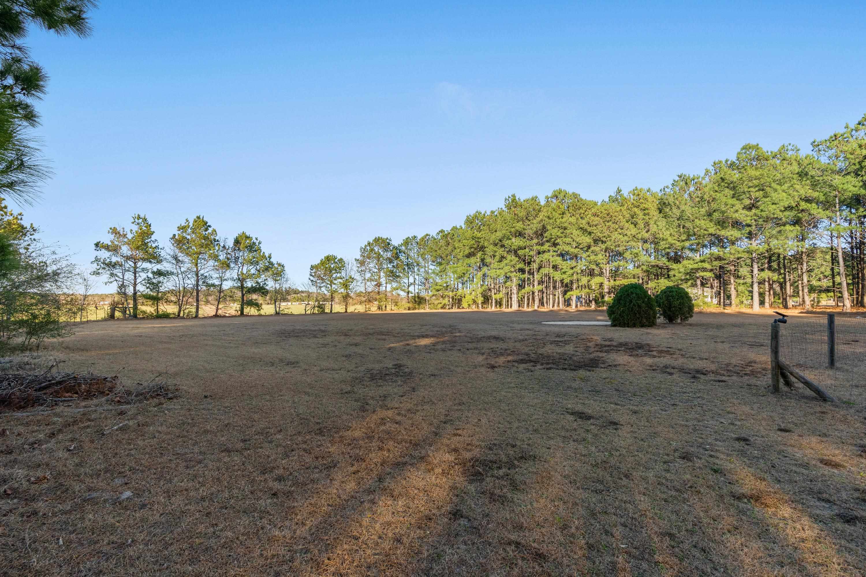 2632 Dows Road Loris, SC 29569 - Photo 28 of 40 Gallery Image 28