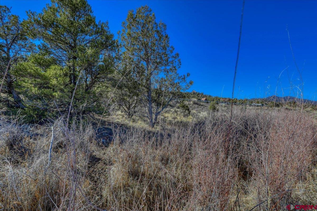 17580 Highway 151 Arboles, CO 81121 - Photo 12 of 35 a view of a dry yard