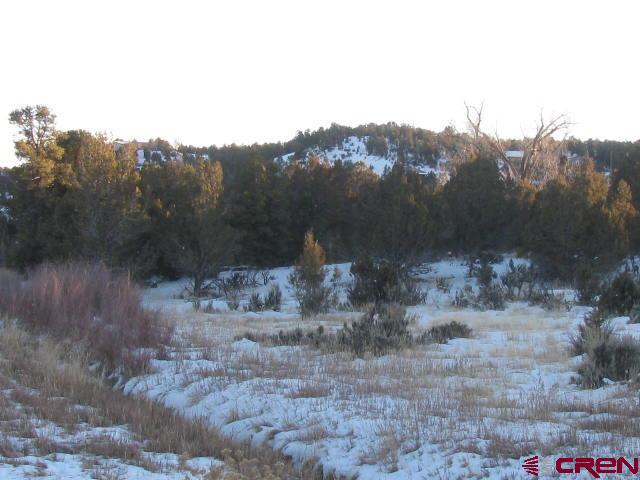 17580 Highway 151 Arboles, CO 81121 - Photo 2 of 35 a view of a dry yard with trees