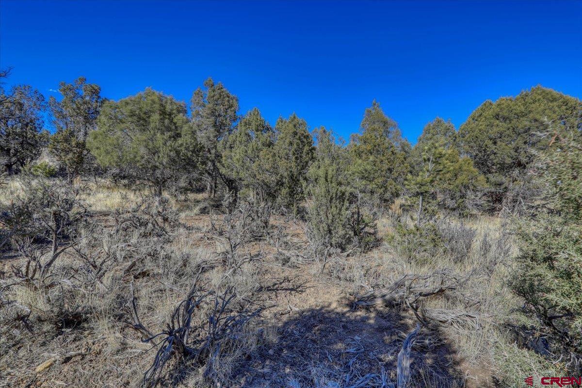 17580 Highway 151 Arboles, CO 81121 - Photo 32 of 35