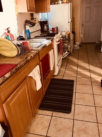 3311 West Cermak Road Chicago, IL 60623 - Photo 3 of 17