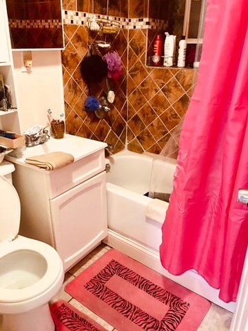 3311 West Cermak Road Chicago, IL 60623 - Photo 4 of 17