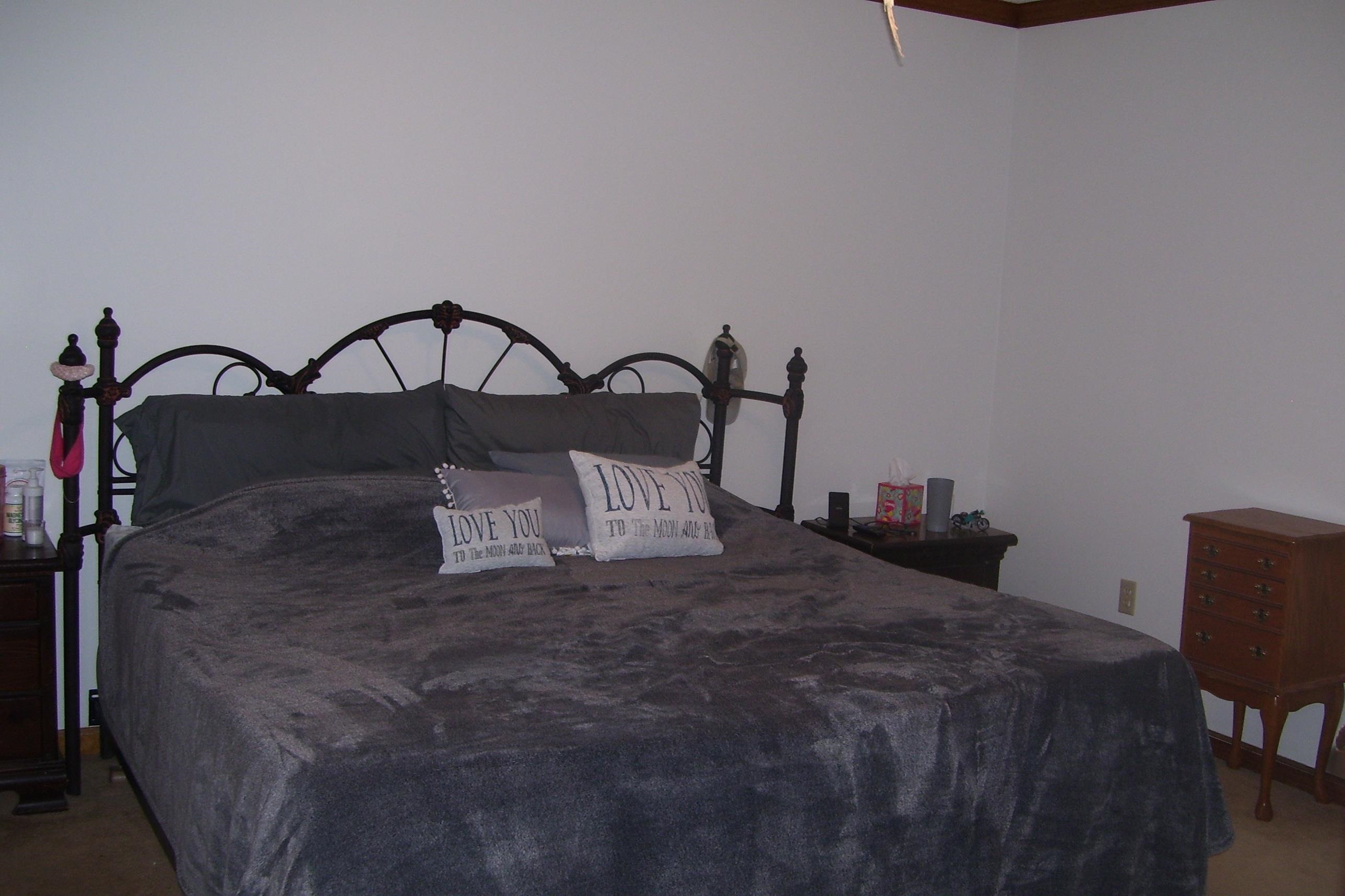 743 Comertown Road Shenandoah, VA 22849 - Photo 18 of 28 a bedroom with a bed and a dresser with mirror